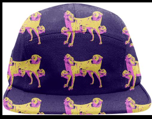 hats dogs