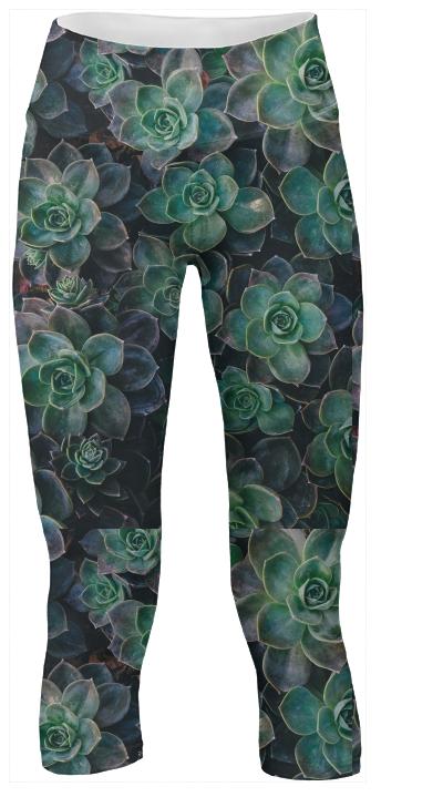 Succulent Yoga Pants