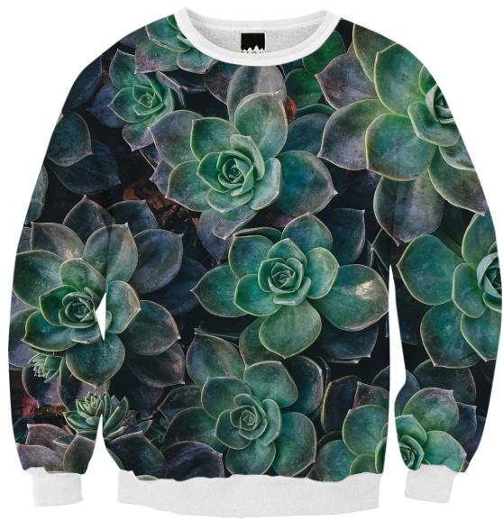 Succulent Ribbed Sweatshirt