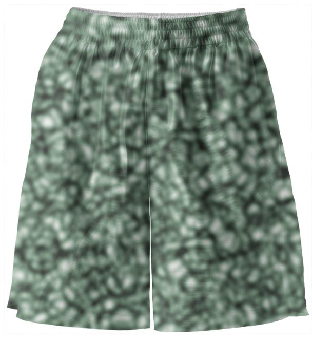 021811b green bball shorts