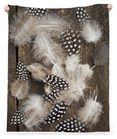 Feathers of guinea fowl