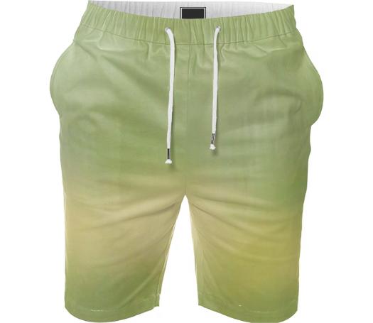Modern Color tone shorts in Greens