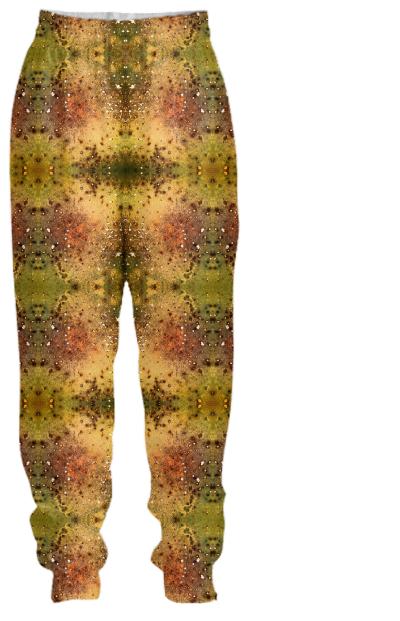 PSYCHEDELIC ABSTRACT ART on Tracksuit Pant Vision of an Alien World with Cracks and Craters