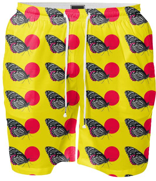 BUTTERFLY