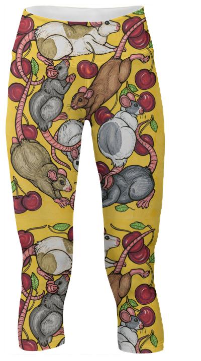 Rat yoga pants