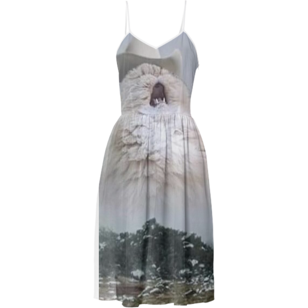 CatDress