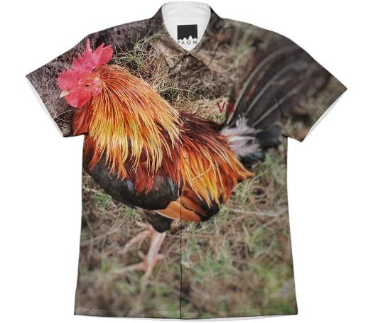 VA Kauai Chicken