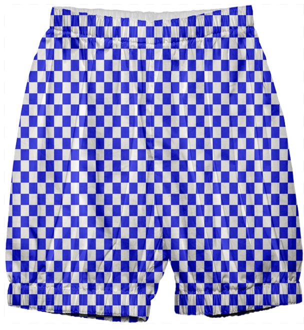 Bright Blue Gingham Bloomers