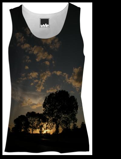 Sun Trees Sky Sunset