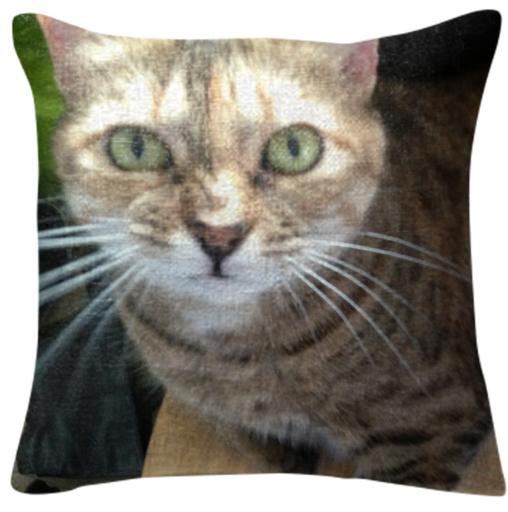 Kitty Stink Face Pillow