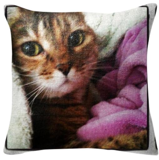Kitty Pillow