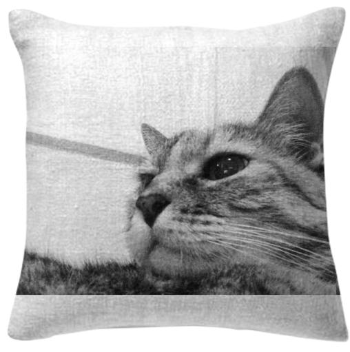 B W Kitty Upclose Pillow