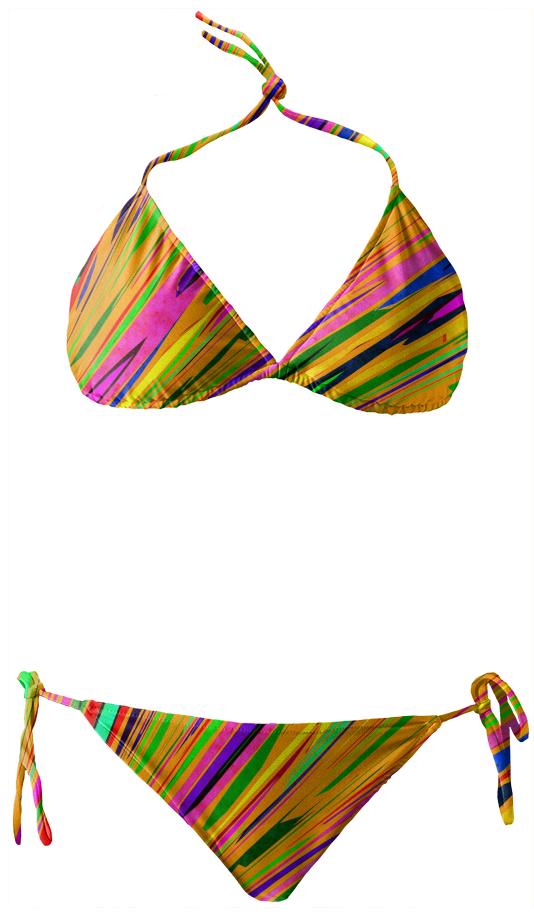 Orange Crush bikini