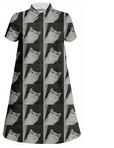 Concerned Cat Dress