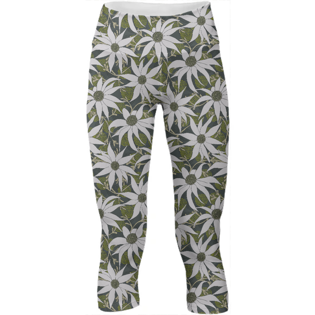 FLANNEL FLOWERS