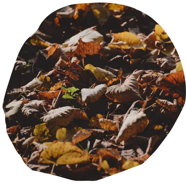 Autumn Leaves Bean Bag