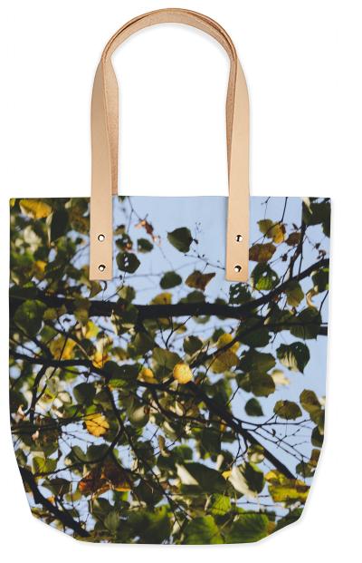 Fall Dream Summer Tote