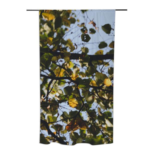 Fall Dream Curtain