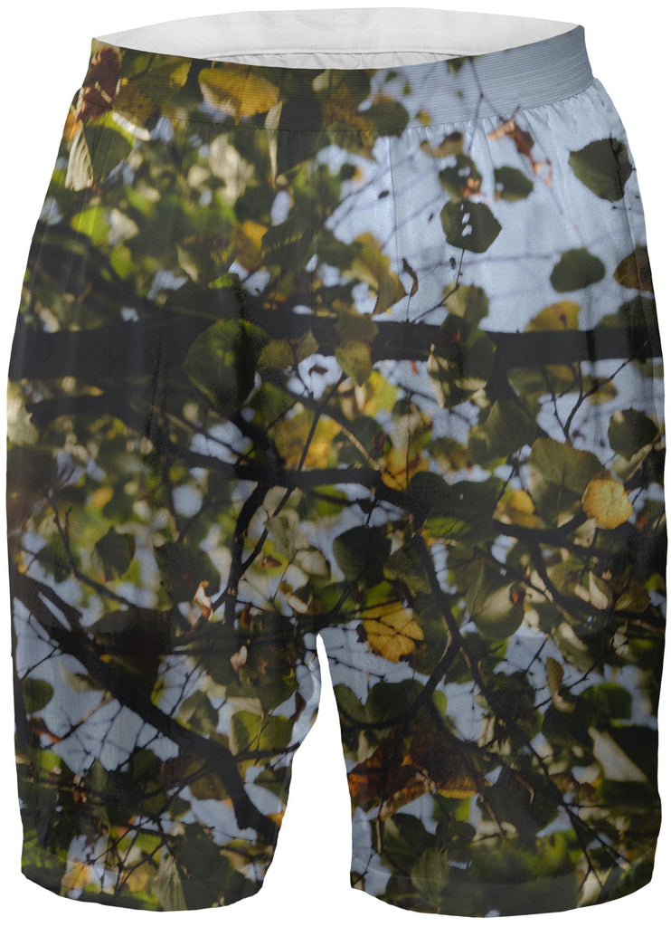 Fall Dream Boxer Shorts