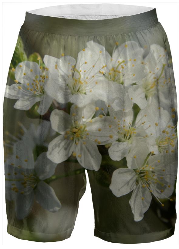 Spring Flowers Boxer Shorts