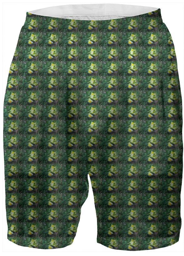 Linaria Flower Pattern Boxer Shorts