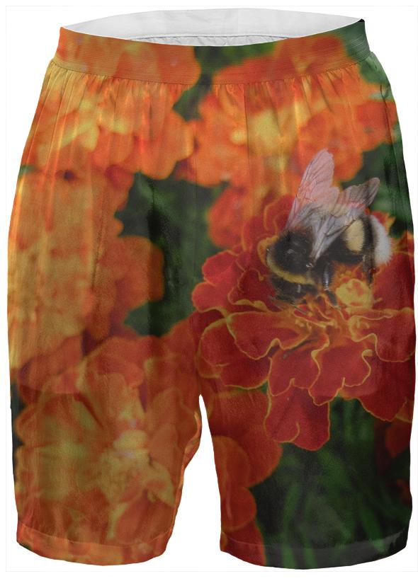 Bumblebee on Marigold Boxer Shorts