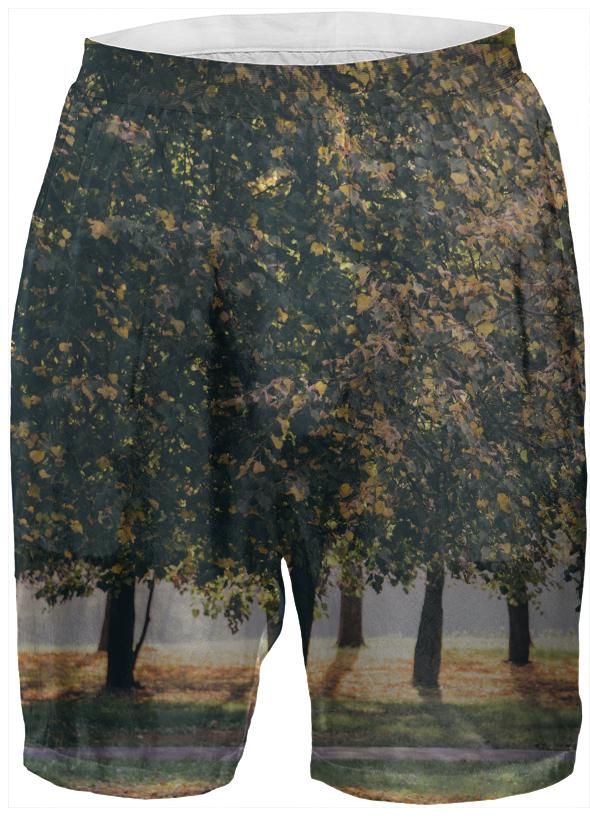 Autumn Trees Boxer Shorts
