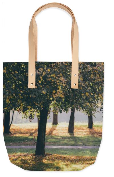 Autumn Trees Summer Tote
