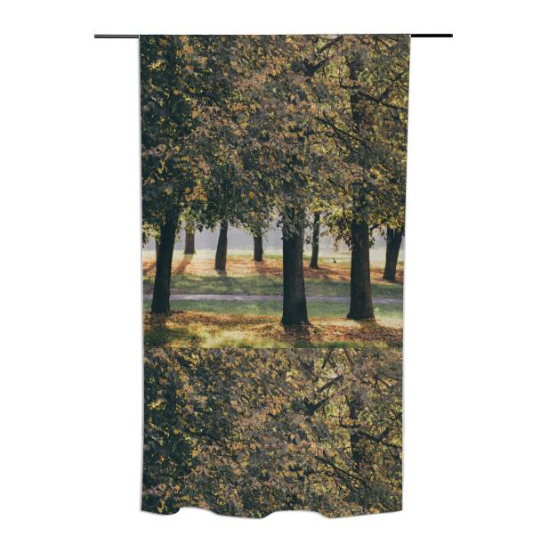 Autumn Trees Curtain