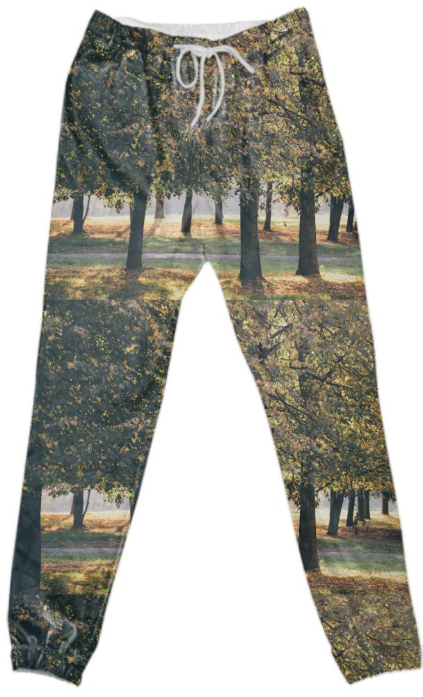 Autumn Trees Cotton Pants