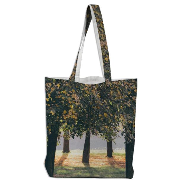 Autumn Trees Tote Bag