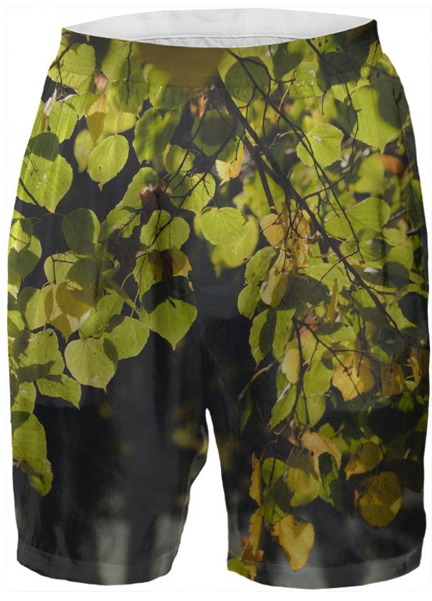 Autumn Silhouettes Boxer Shorts