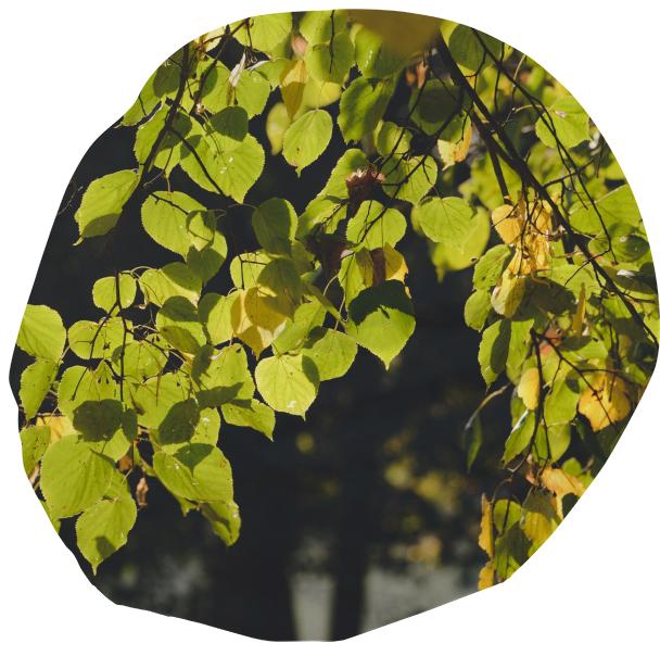 Autumn Silhouettes Bean Bag