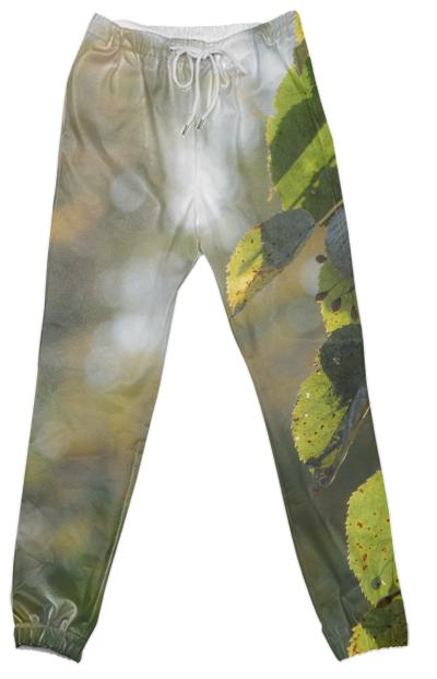 Autumn Fantasy Cotton Pants