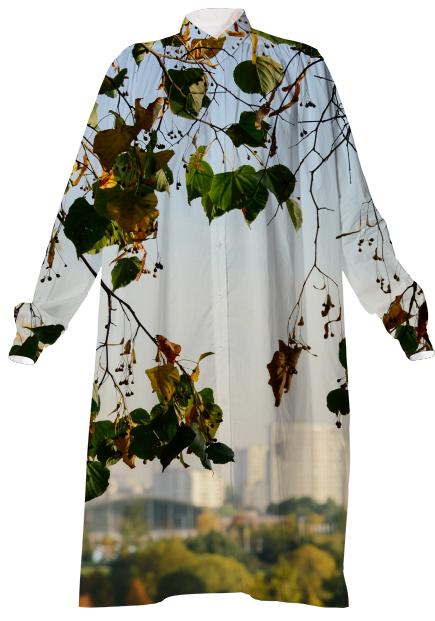 Autumn in the city VP Shirtdress