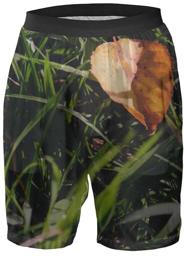 Fall Leaf Boxer Shorts