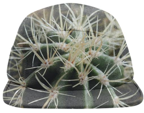 Cactus Close Up Baseball Hat