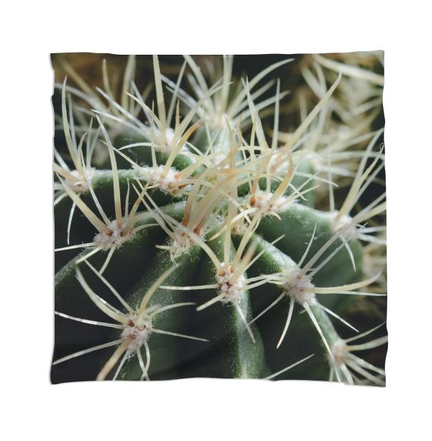 Cactus Close Up Scarf
