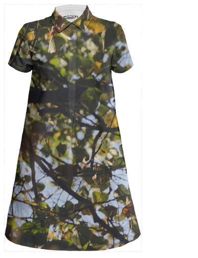 Fall Dream Mini Shirt Dress