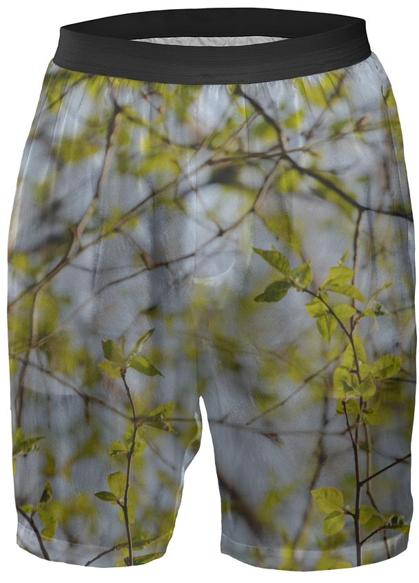 Spring Pattern Boxer Shorts