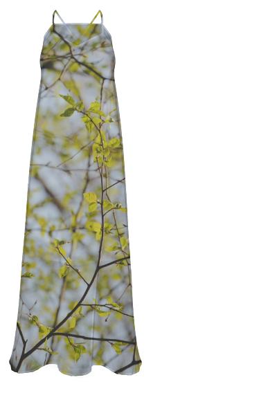 Spring Pattern Chiffon Maxi Dress