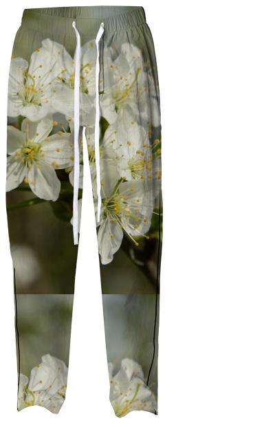Spring Flowers Pajama Pant