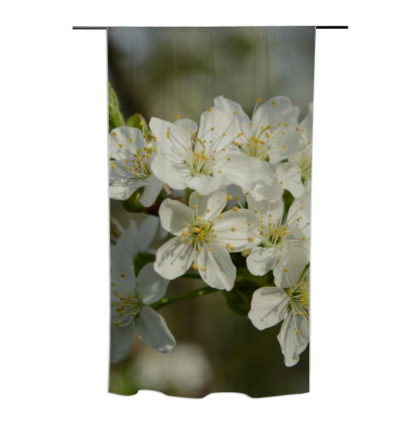 Spring Flowers Curtain