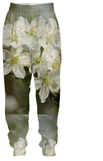 Spring Flowers Tracksuit Pant