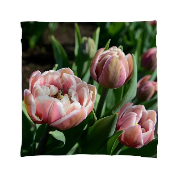 Tulips Scarf