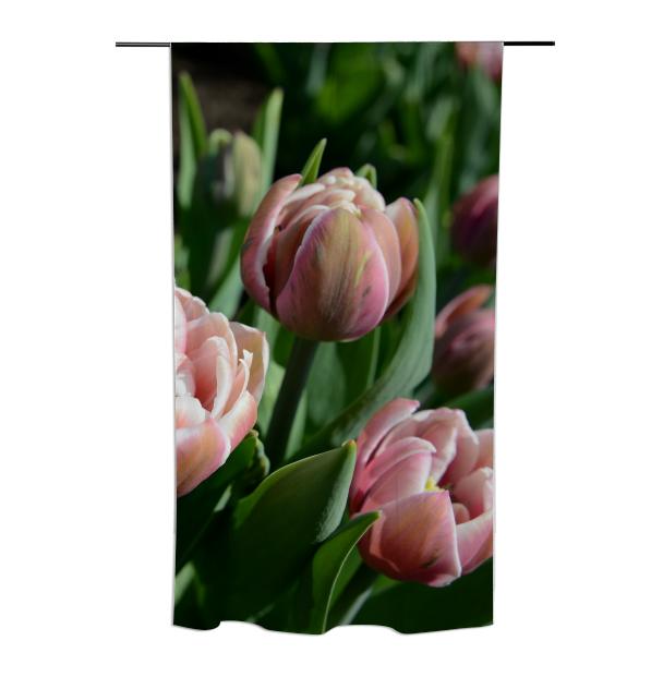 Tulips Curtain