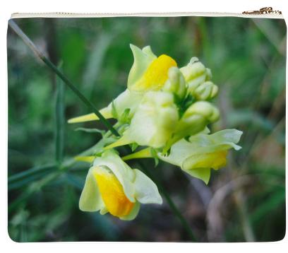 Linaria Flower Clutch