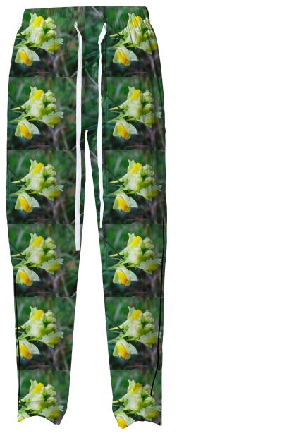 Linaria Flower Pattern Pajama Pant