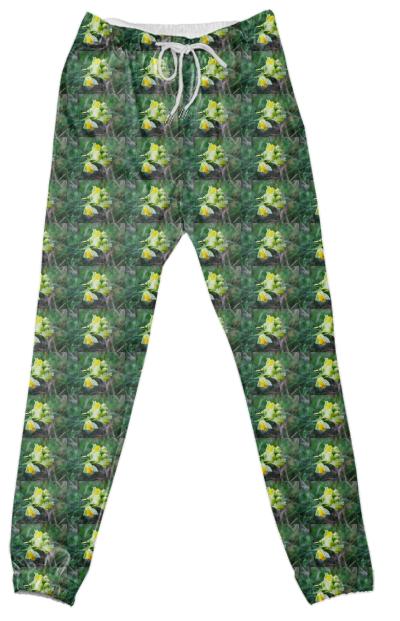 Linaria Flower Pattern Cotton Pants
