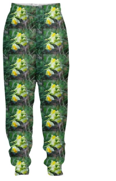 Linaria Flower Pattern Tracksuit Pant
